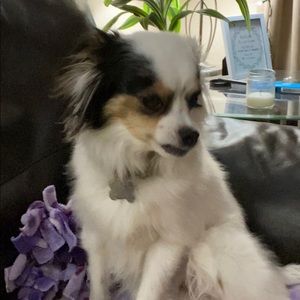 Meet your Posher, Tara